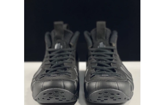 Air One Nike 314996-001 Foamposite Anthracite 0313